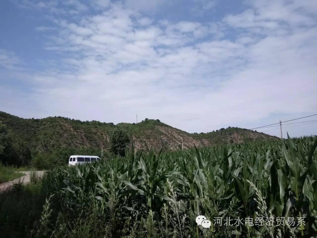 雷竞技RAYBET