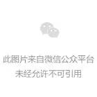 雷竞技RAYBET